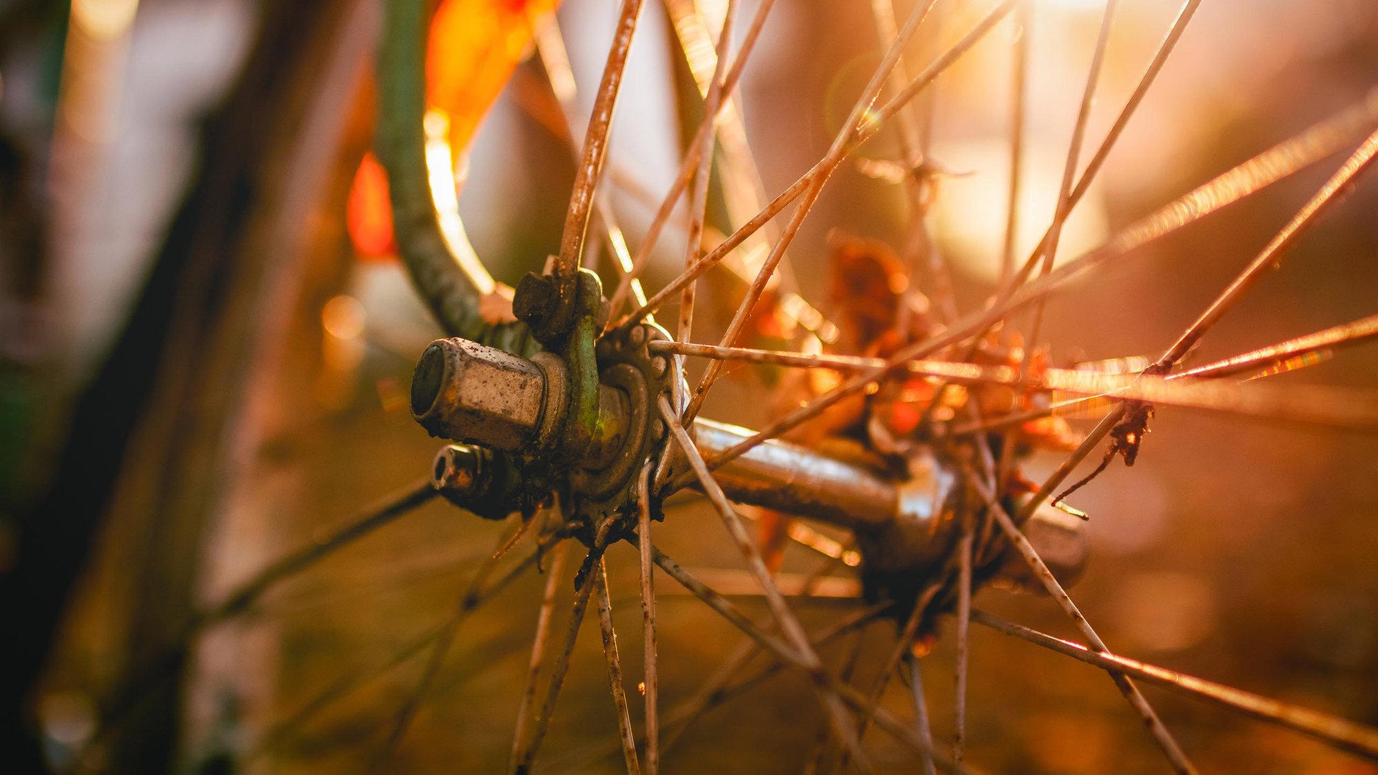 wheel-closeup-bike-16-9-hero-2560x1440px