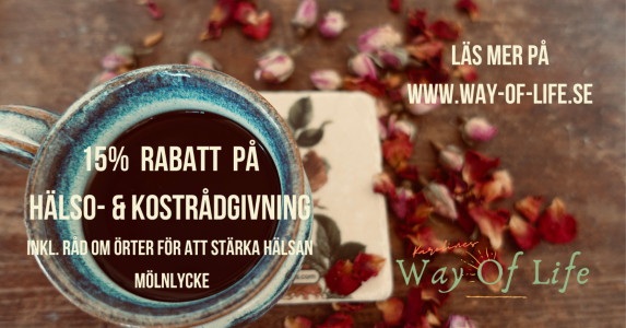 15% rabatt_epass sommarkampanj 2023_karolineswayoflife