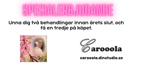 CarooolaEpassi