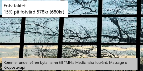 Epassi fotvård 600x300 text