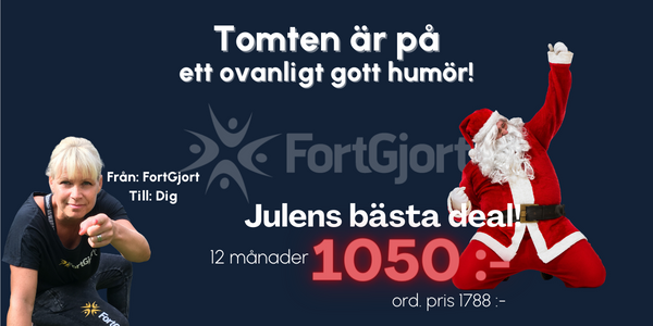 FortGjort-1