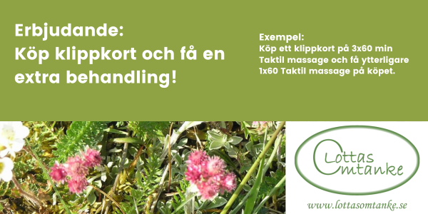 Lottas Omtanke Tyresö