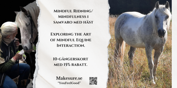 MakeSure