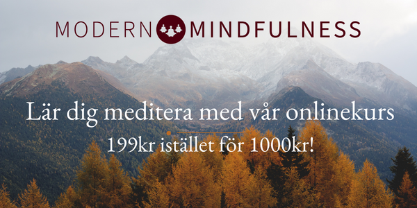 Modern Mindfulness Sweden AB