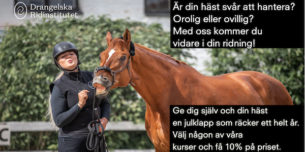 Drangelska Ridinstitutet