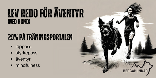 Lev redo för äventyr