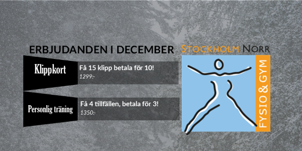 Stockholm Norr Fysio & Gym AB