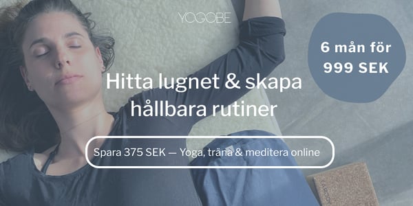 yogobe