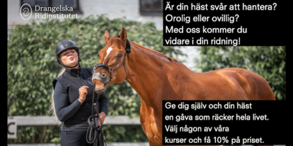 Drangelska Ridinstitutet
