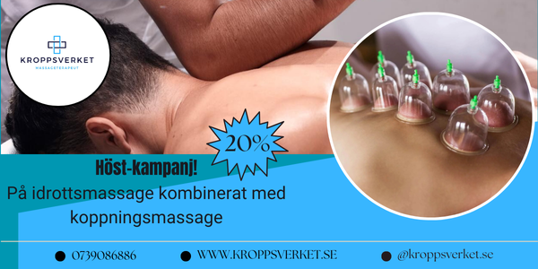 Kroppsverket