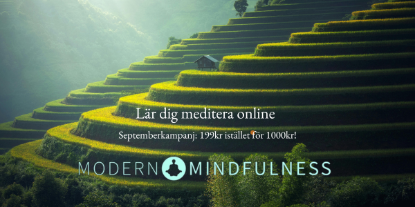 Modern Mindfulness