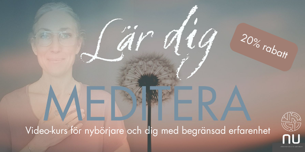 NU (Närvarande Utbildningar)