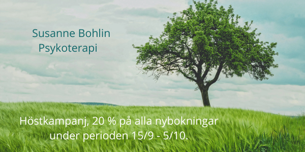 Susanne Bohlin psykoterapi