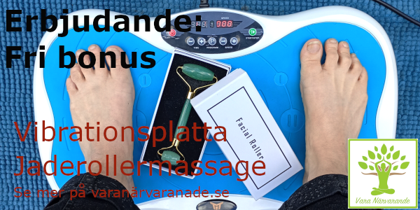 Vara Närvarande