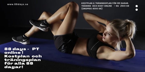 88days workout challenge AB