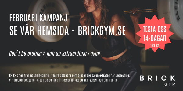 BRICK GYM