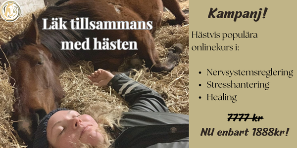 Hästvis
