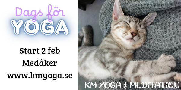 KM Yoga och Meditation