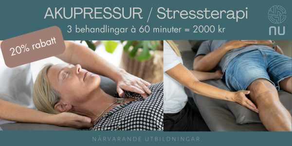 NU (Närvarande Utbildningar)