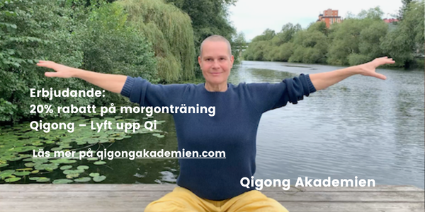 Qigong Akademien