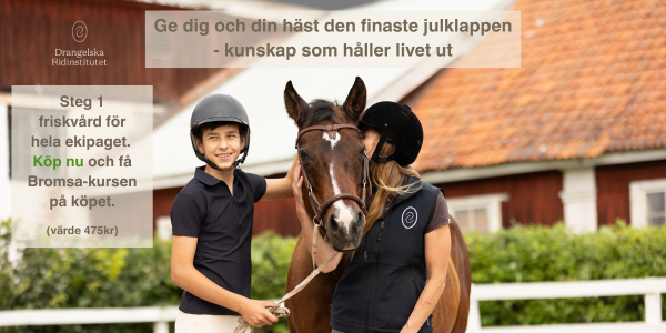 Drangelska Ridinstitutet