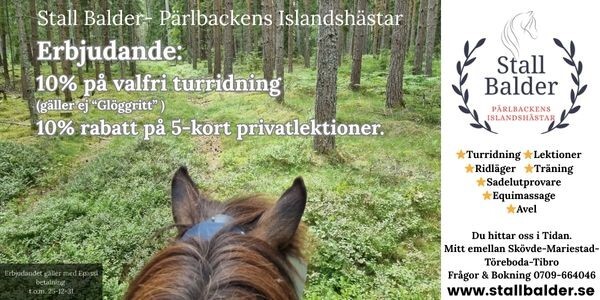 Stall Balder, Pärlbackens Islandshästar