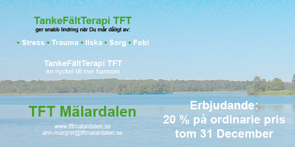 TFT Mälardalen