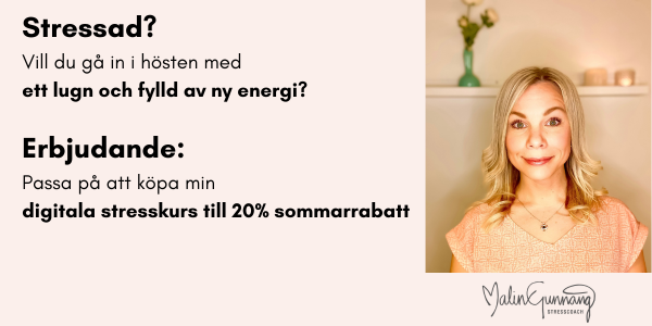 epassi_sommar_UTAN länk