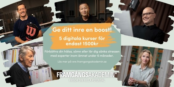 framgångsakademin