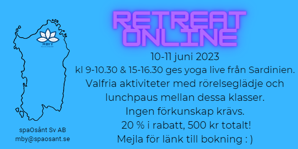 retreat online Epassi sommar 23