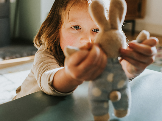 1-1_544x408px_1.1 ratio_image plus text