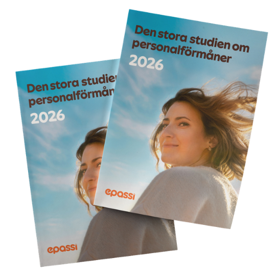 rapport personalförmåner