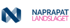 Naprapatlandslaget