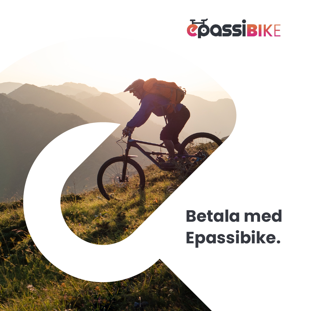 epassibike3