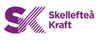 skellefteå kraft